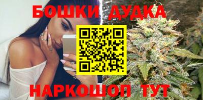 сатива Кулебаки