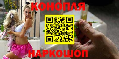 сатива Кулебаки