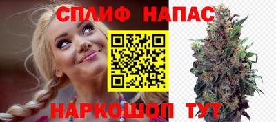 прущие грибы Кунгур