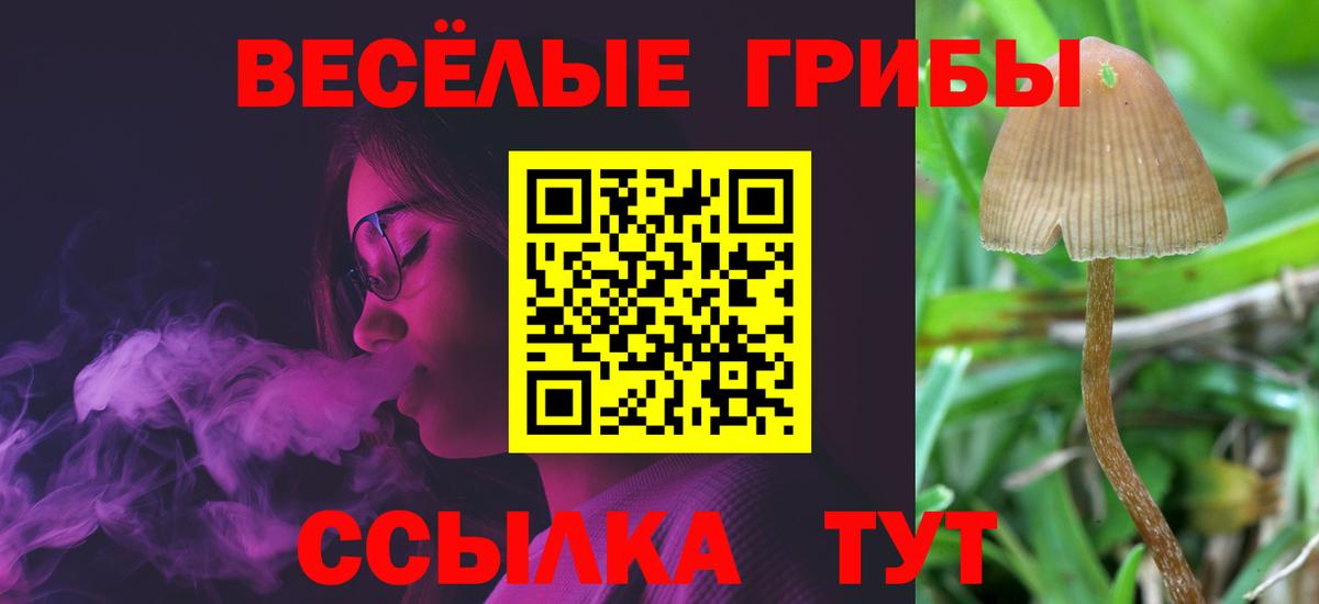 Псилоцибиновые грибы Magic Shrooms  Галлюциногенные грибы MAGIC MUSHROOMS  Вход с VPN  Кашира 